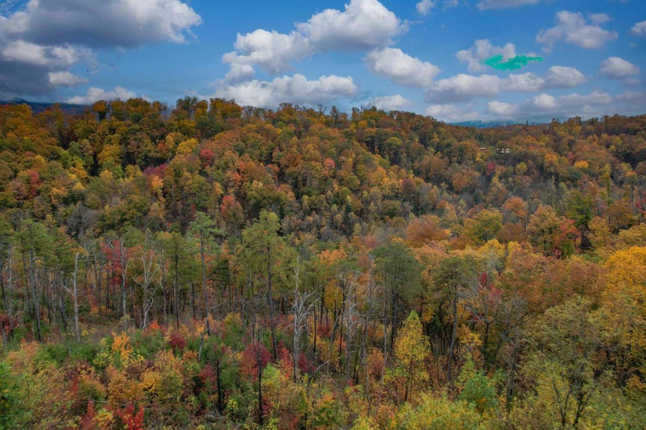 The Overlook - '21 Cabin - Gorgeous Unobstructed Views - Fire Pit Table - Gamerm - Hottub - Xbox - Lots Of Bears Gatlinburg Εξωτερικό φωτογραφία